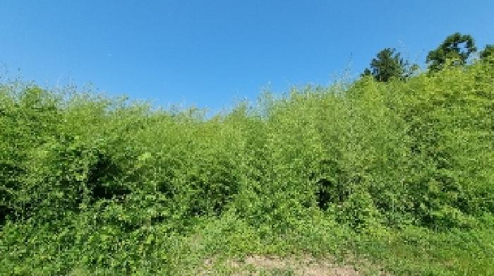 사진 9