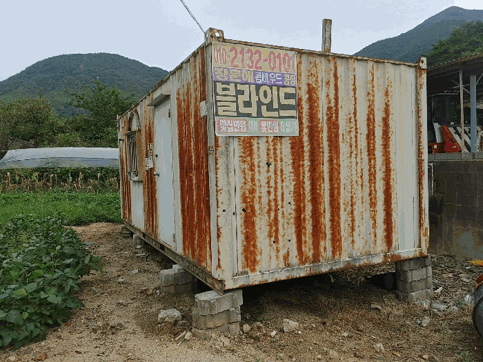 사진 6