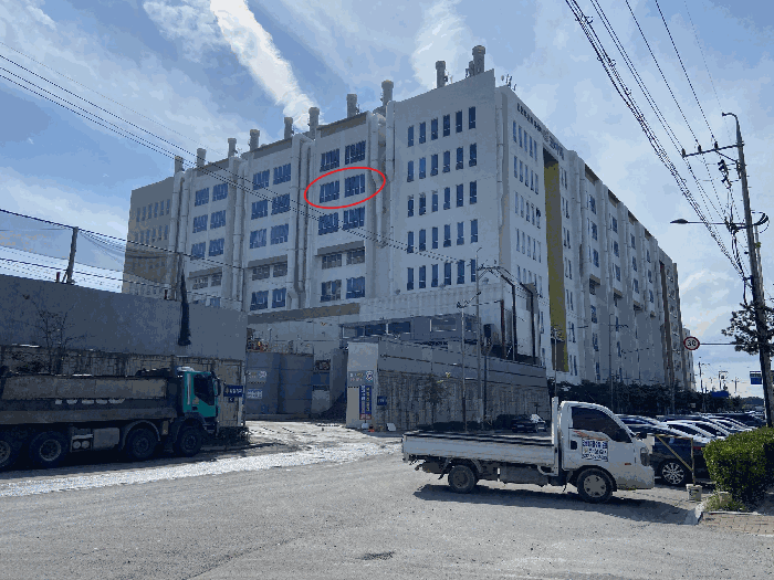 사진 11