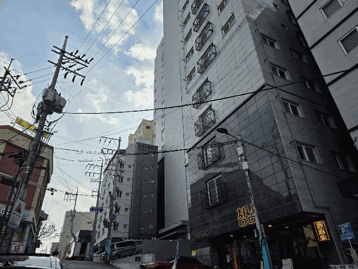 사진 5