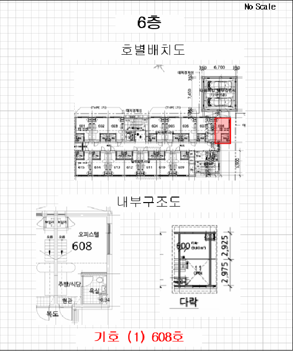 사진 6