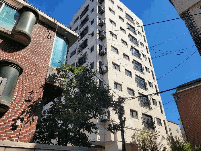 사진 10