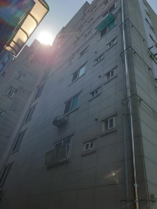 사진 1