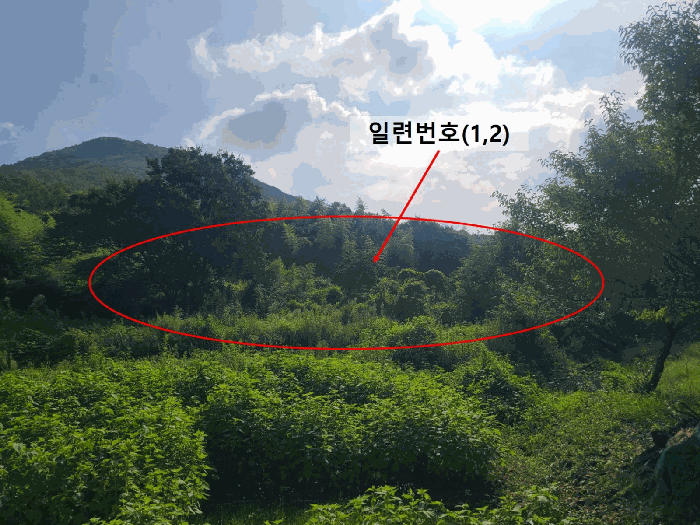사진 5