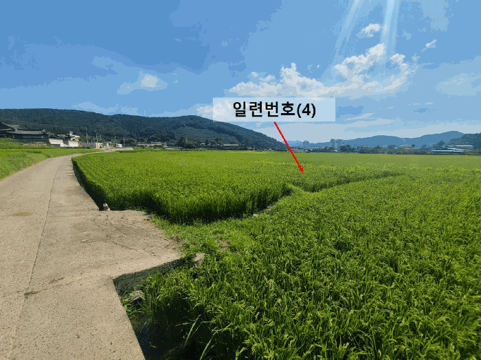 사진 7