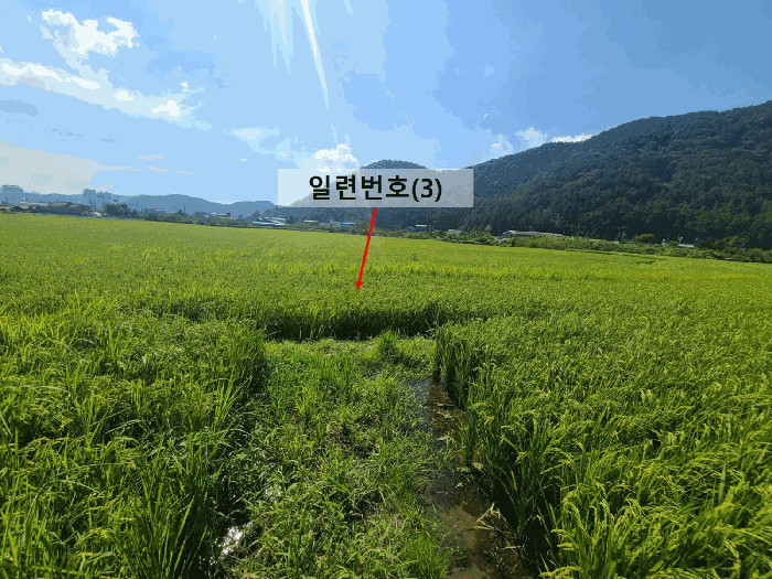 사진 9