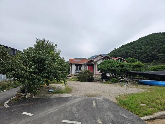 사진 15