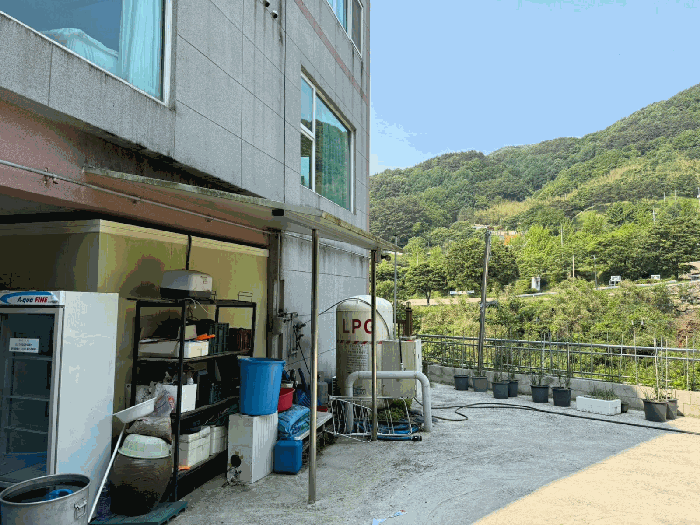 사진 11