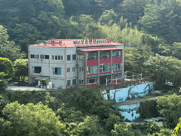 사진 1