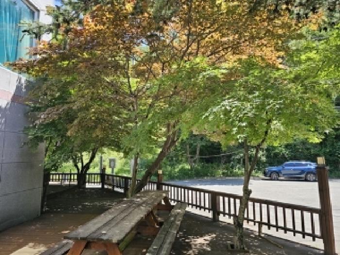 사진 17