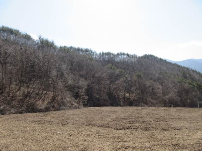 사진 22