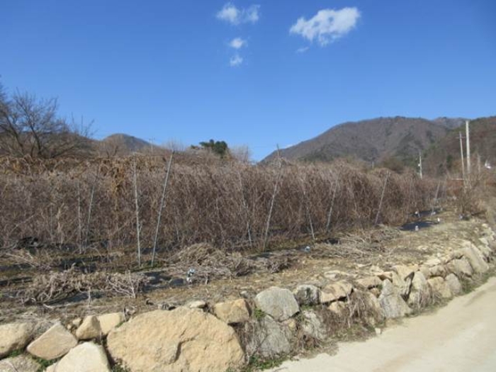 사진 31
