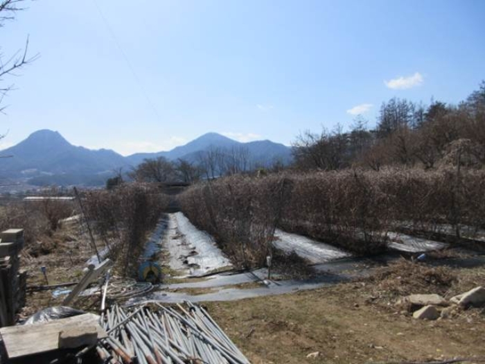 사진 32