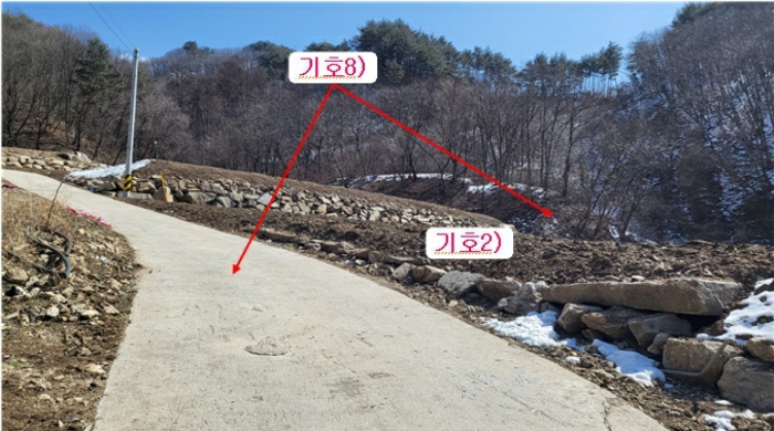 사진 5