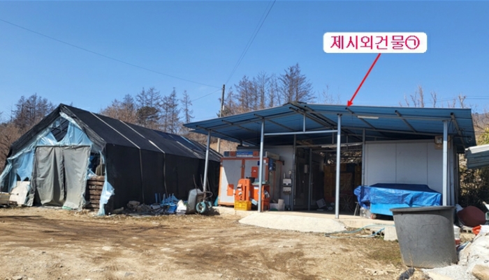 사진 7