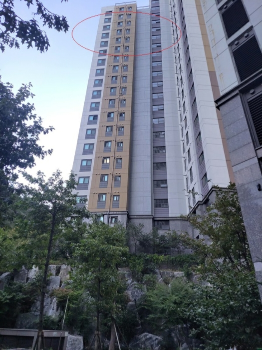 사진 1