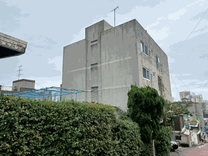 사진 4
