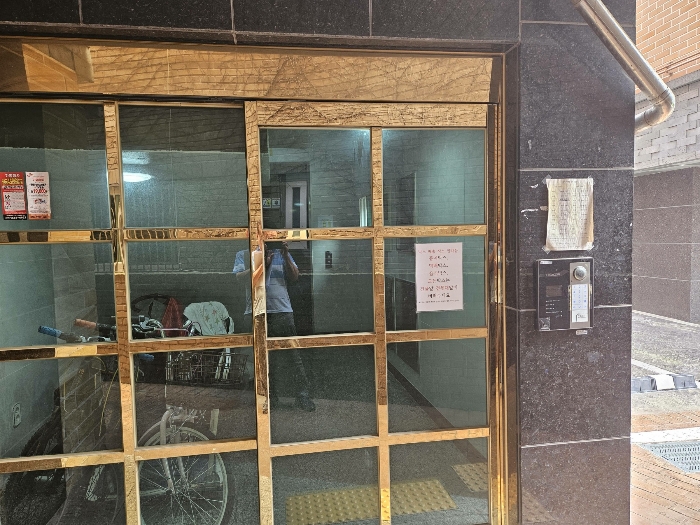 사진 5