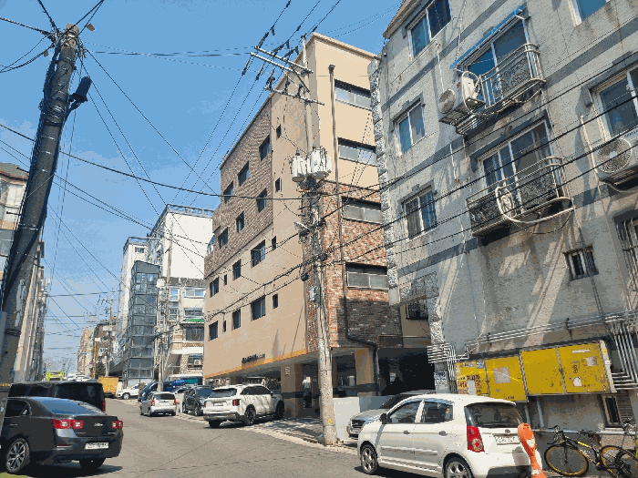 사진 9