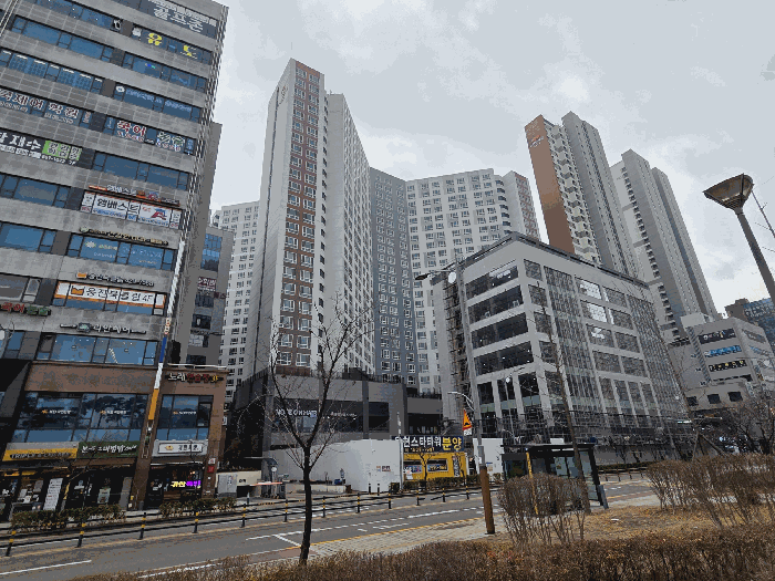 사진 11