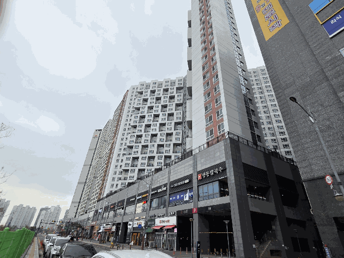 사진 14