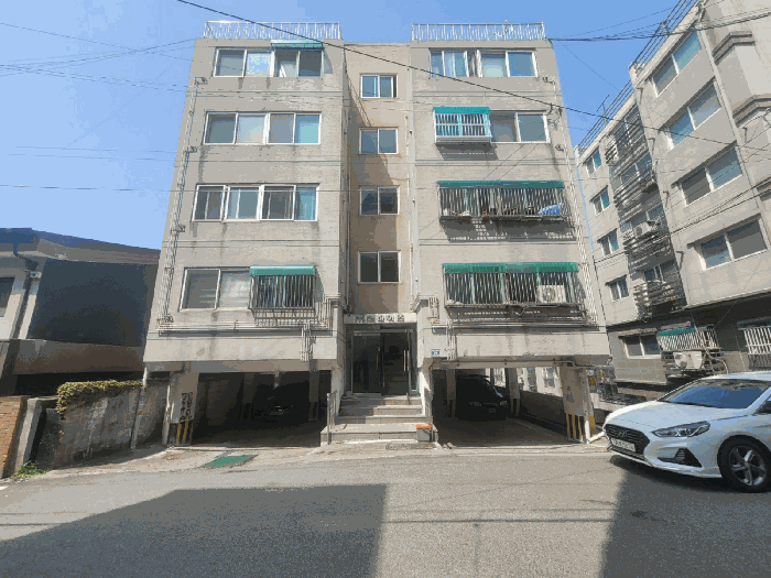 사진 12