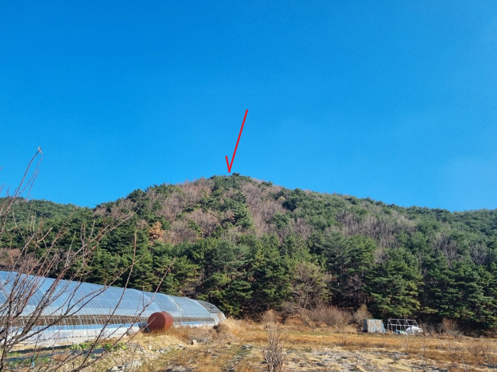 사진 1