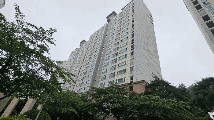 사진 7