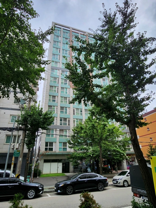 사진 1