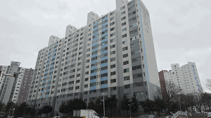 사진 10
