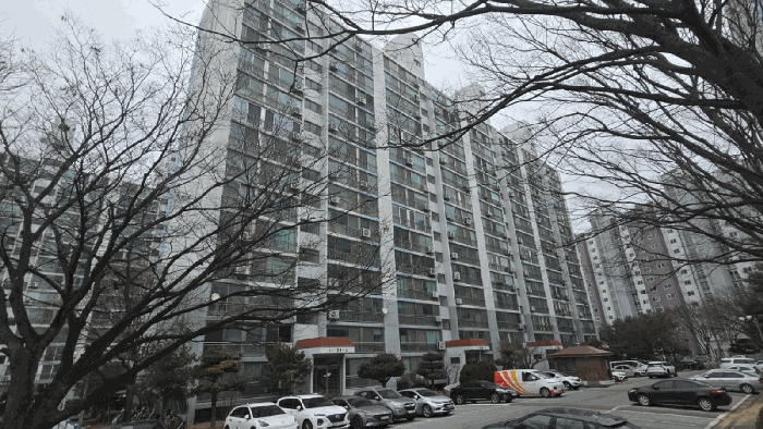 사진 13