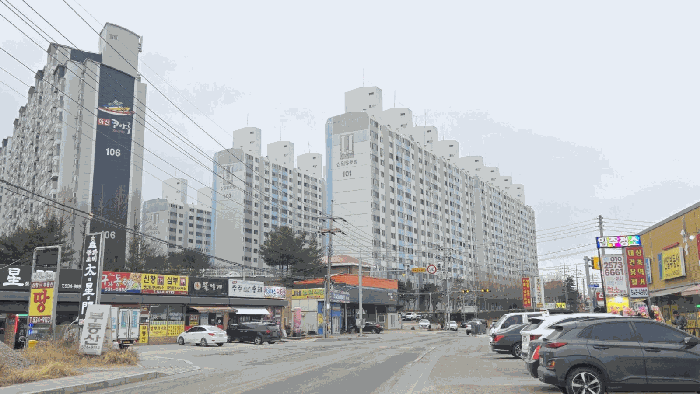사진 8