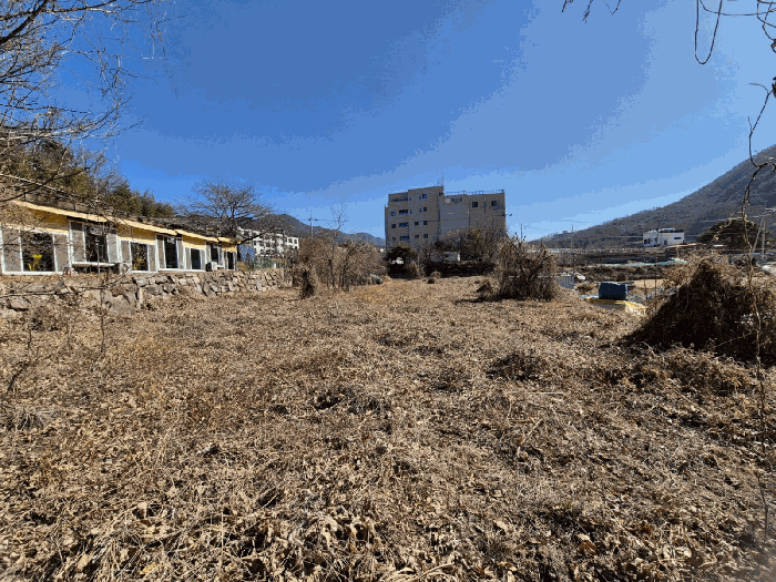 사진 1