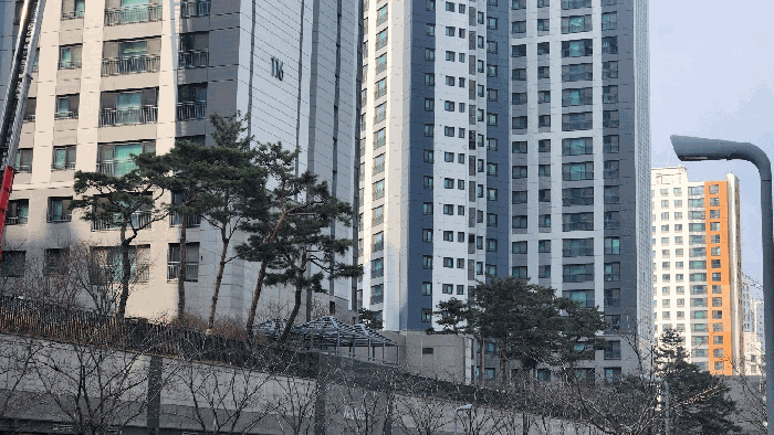사진 6