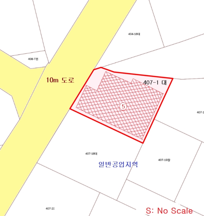 사진 50