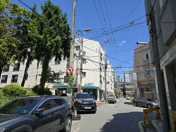 사진 55
