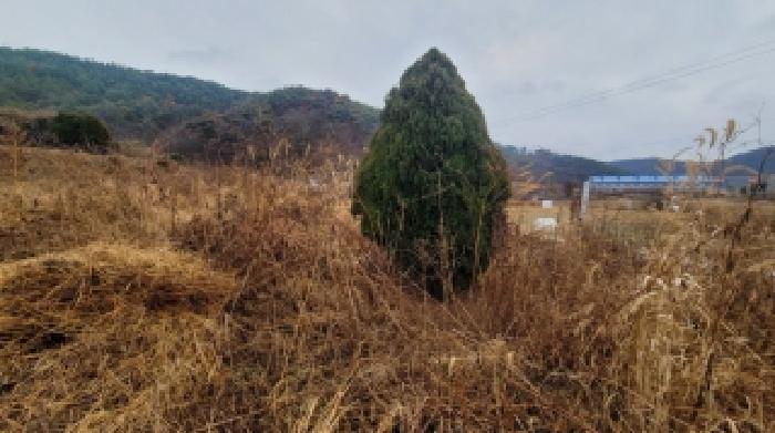 사진 13
