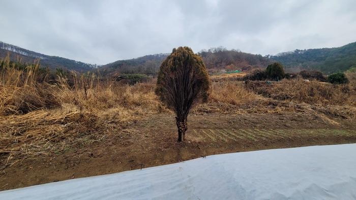 사진 14