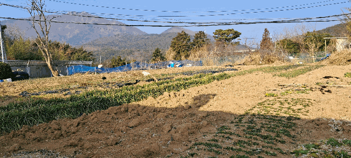 사진 11