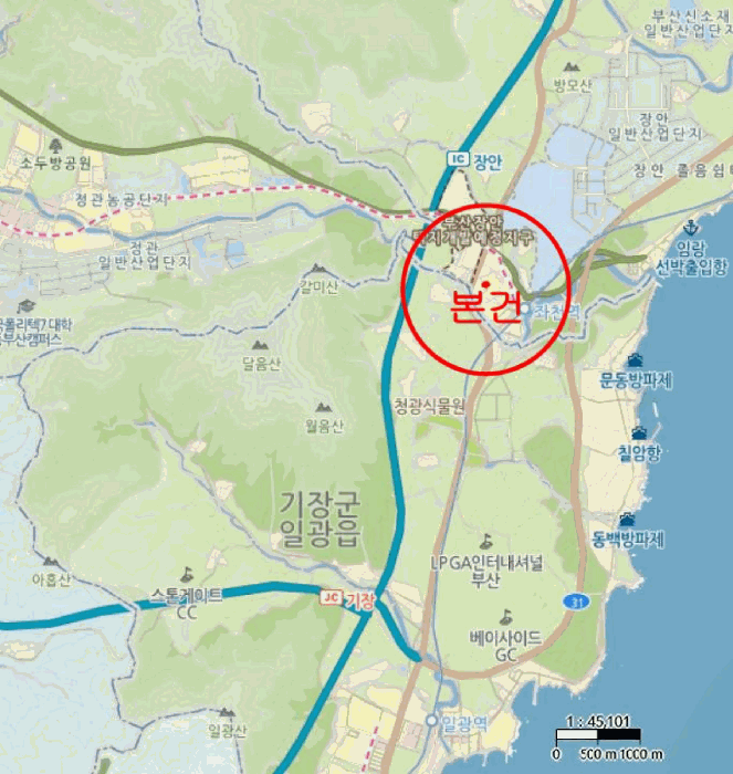 사진 10