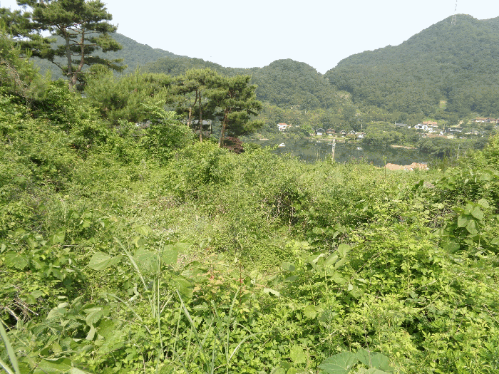 사진 11