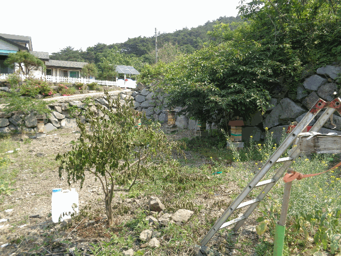 사진 13