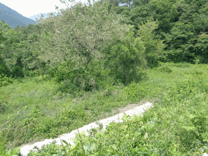사진 14