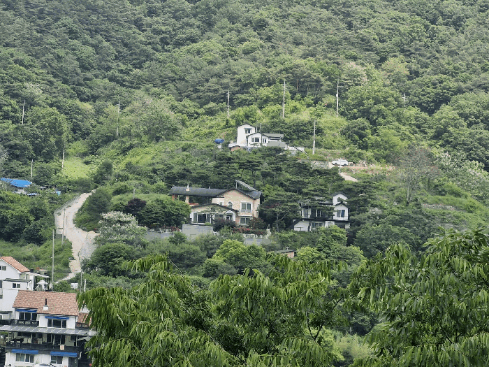 사진 16
