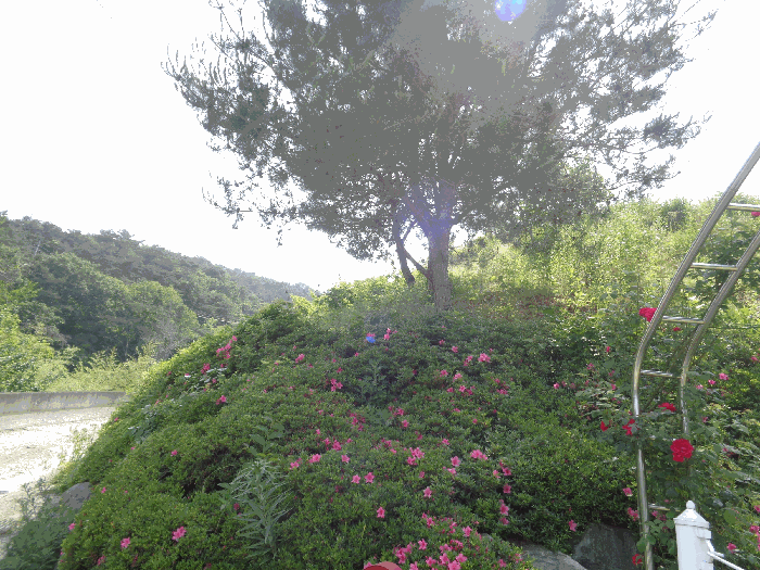사진 5