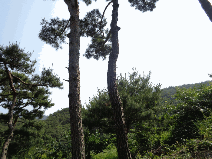 사진 6