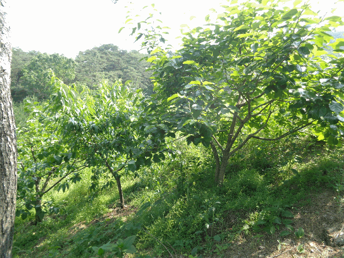 사진 8