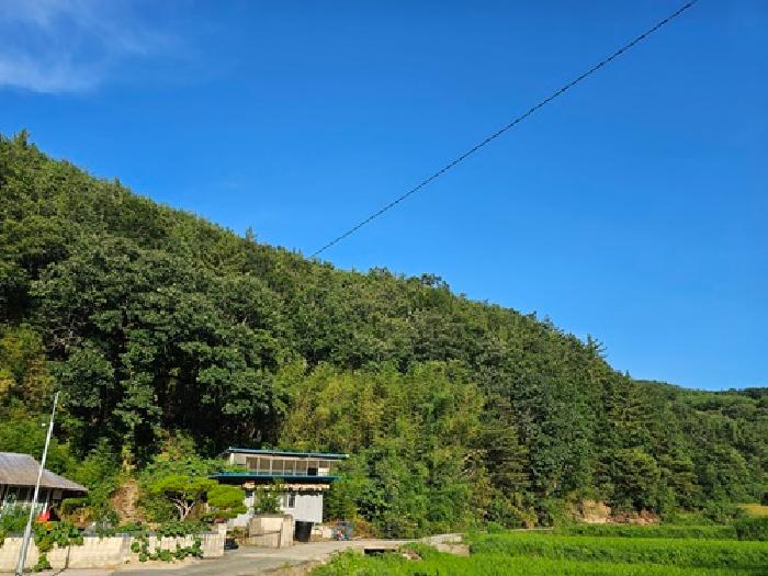 사진 10