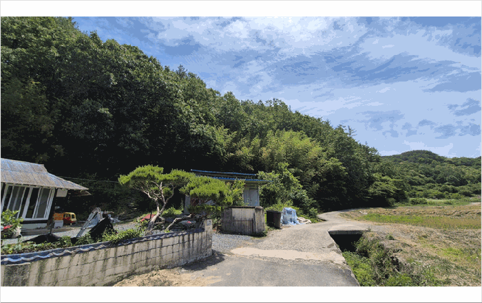 사진 2