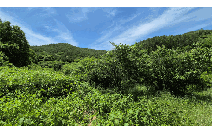 사진 7